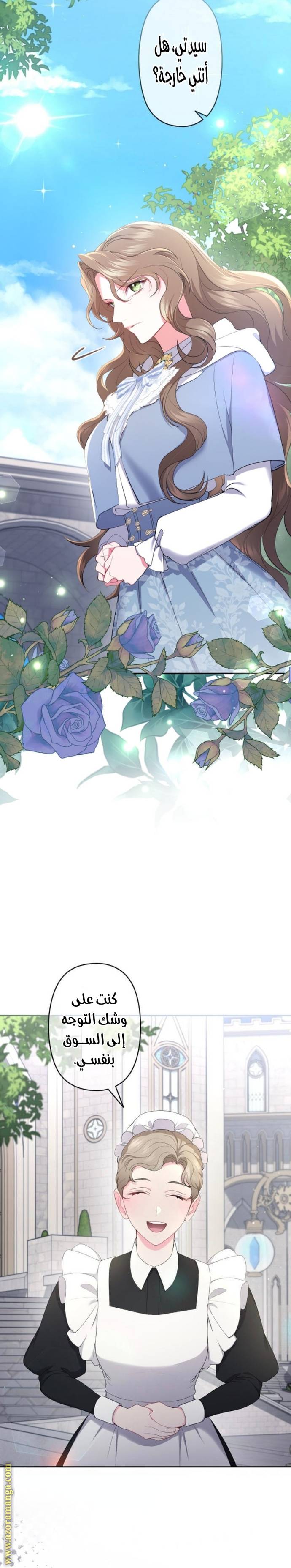 الصفحة 20