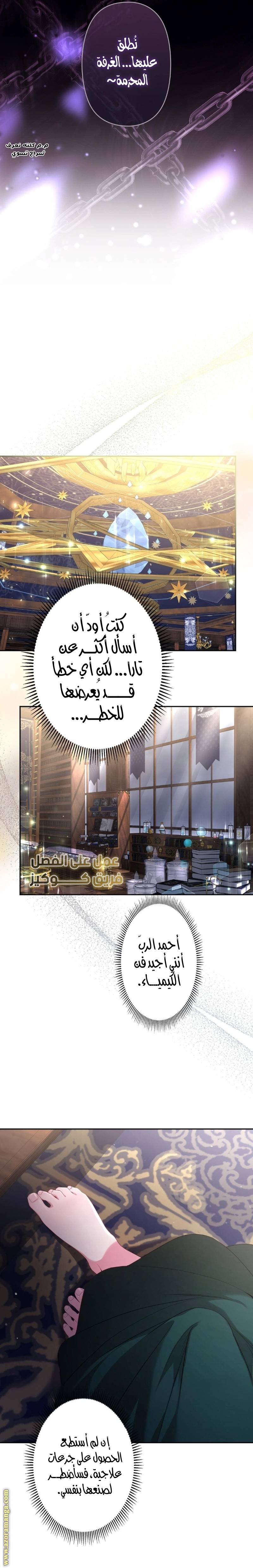 الصفحة 14
