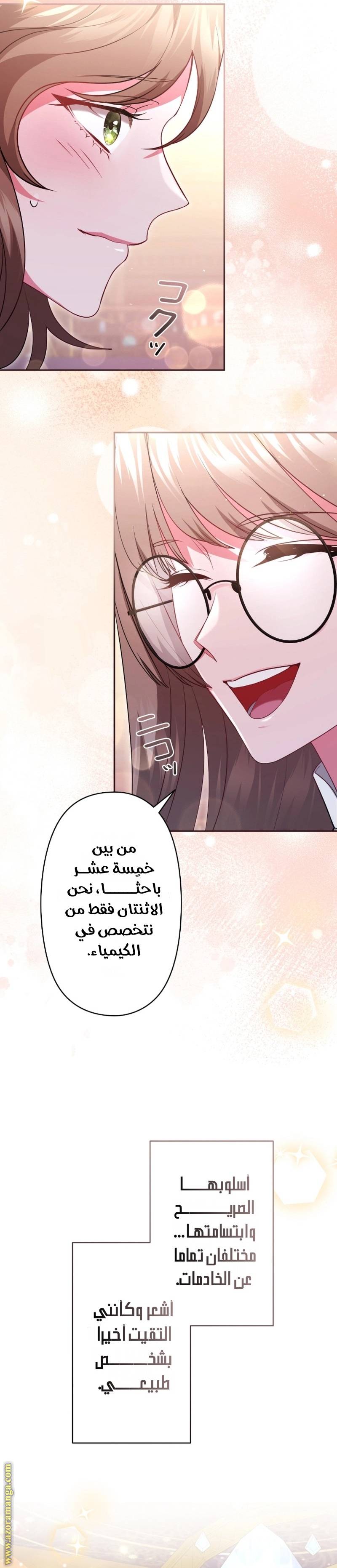 الصفحة 17