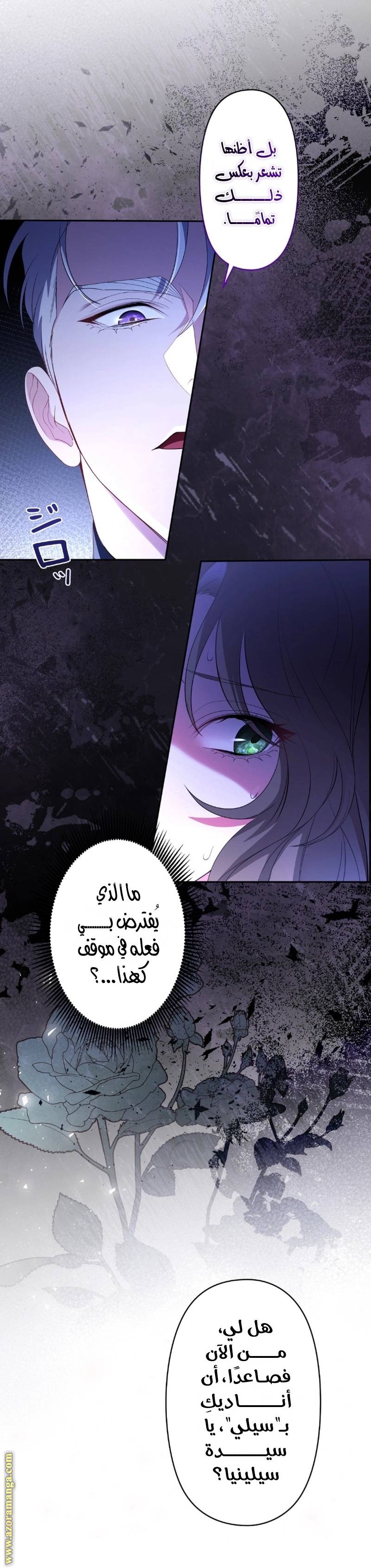 الصفحة 28