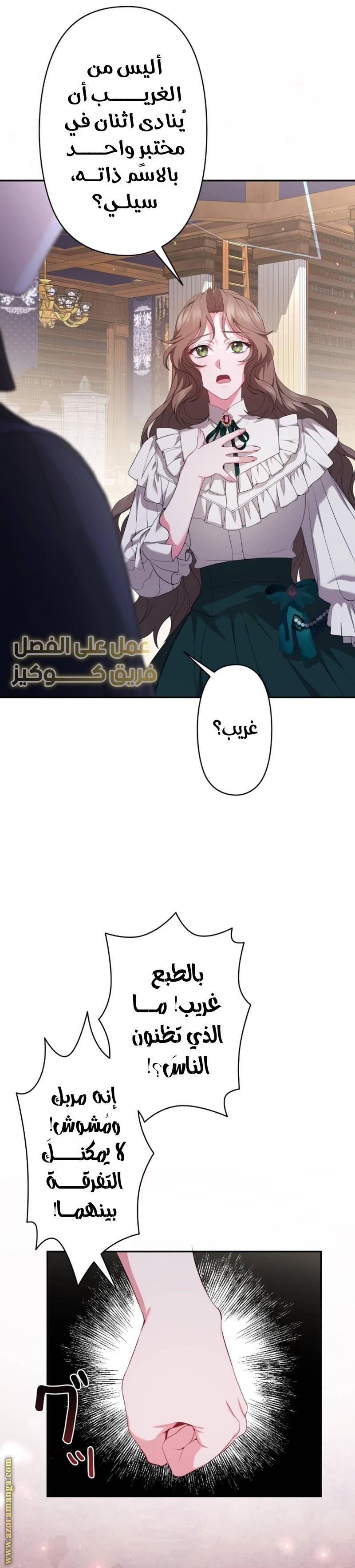 الصفحة 29