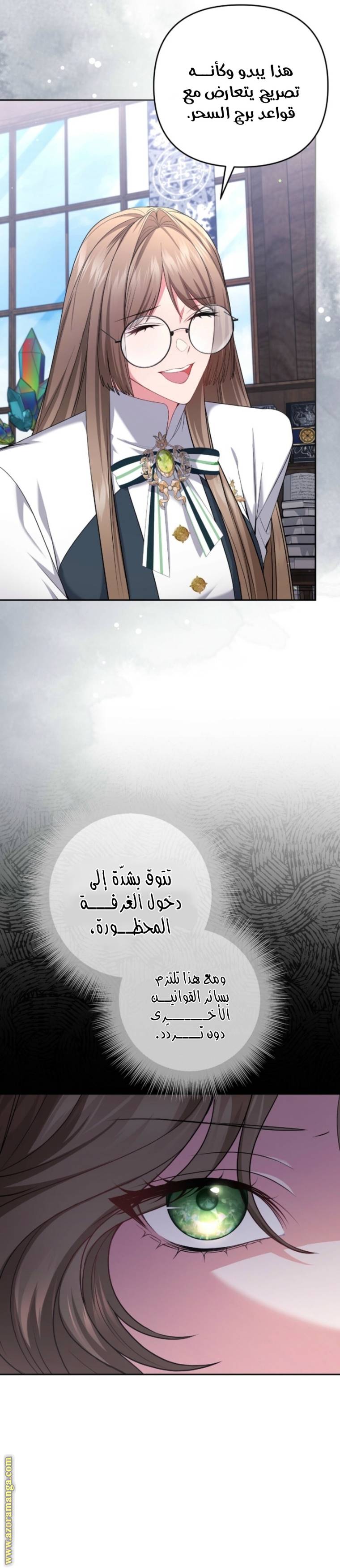 الصفحة 17