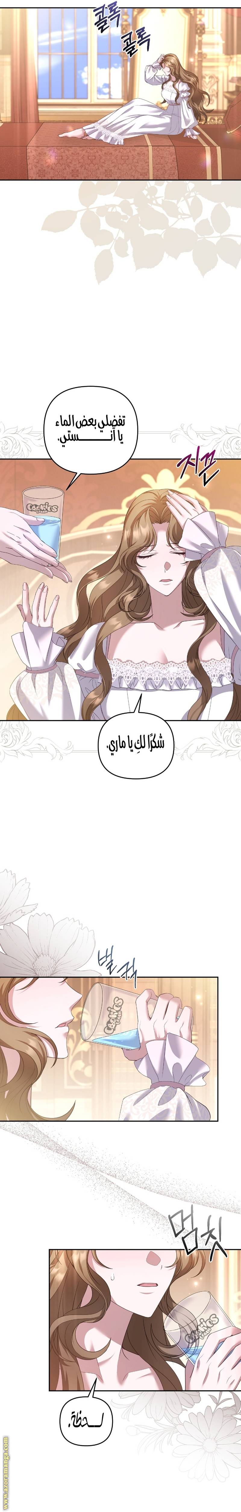 الصفحة 25