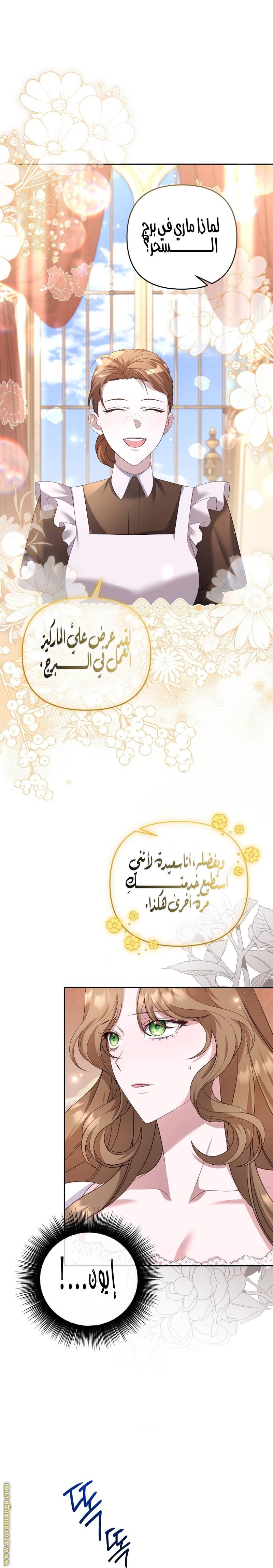 الصفحة 26