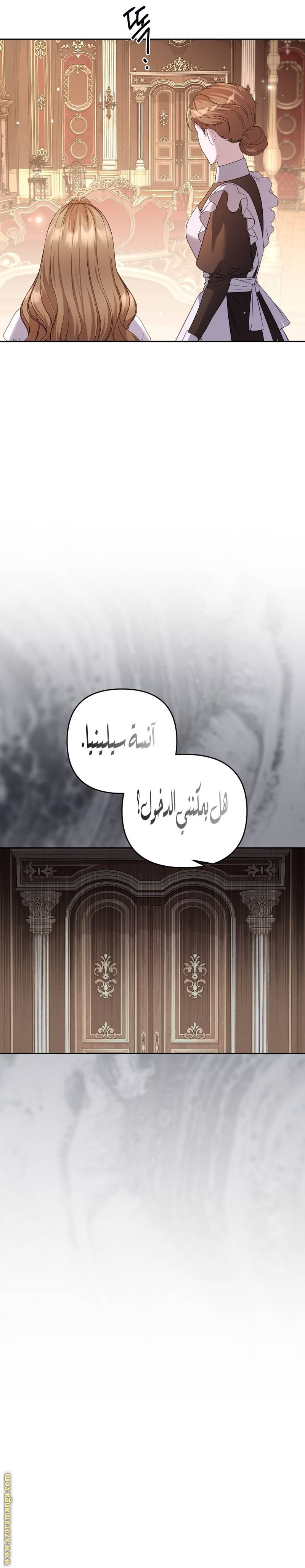 الصفحة 27