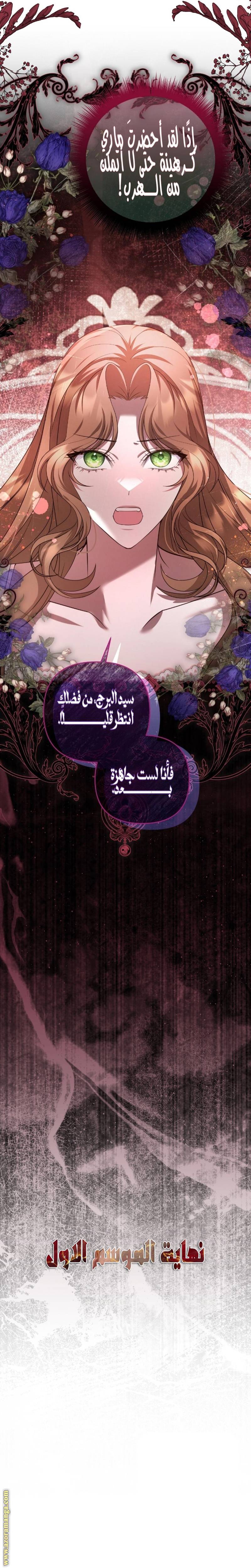 الصفحة 29