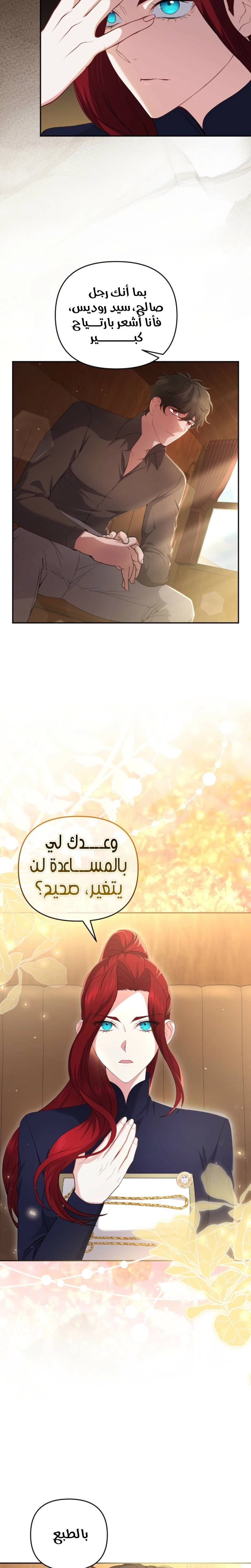 الصفحة 20