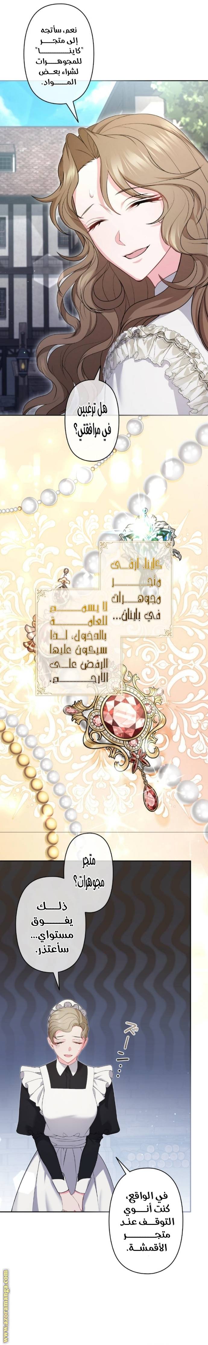 الصفحة 12