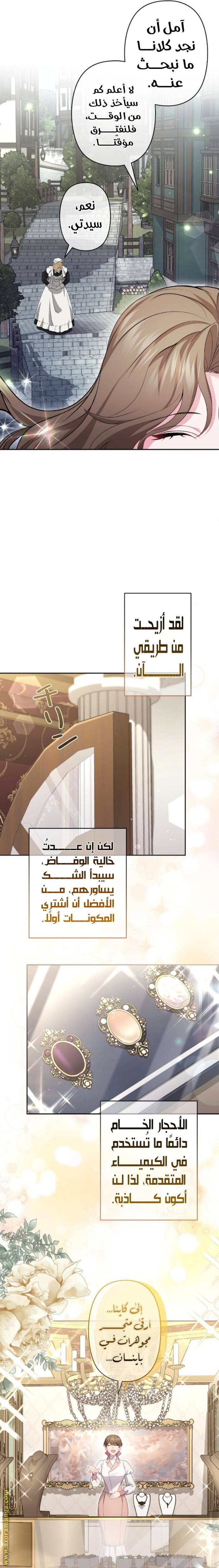 الصفحة 13
