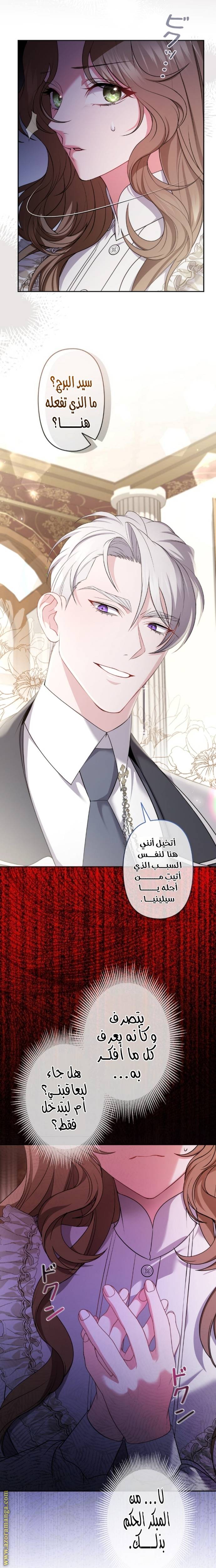 الصفحة 17