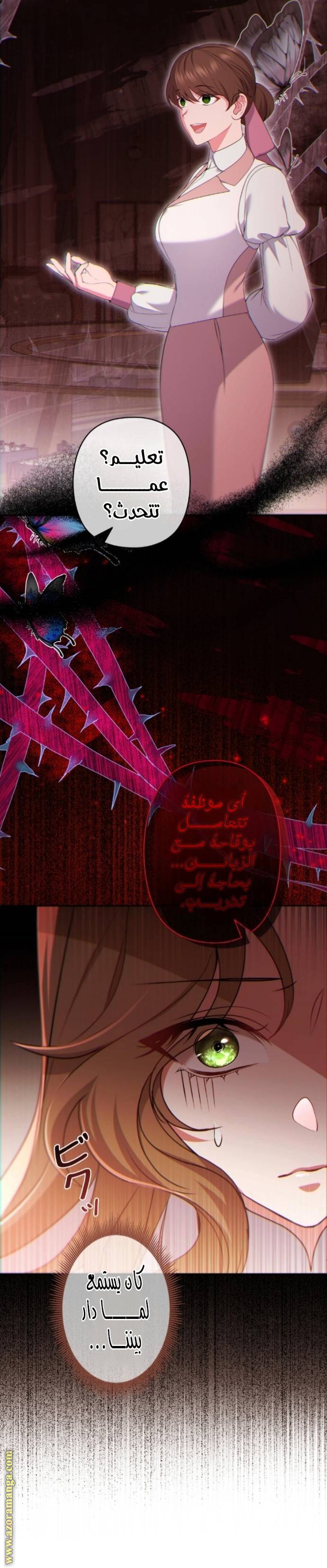 الصفحة 19