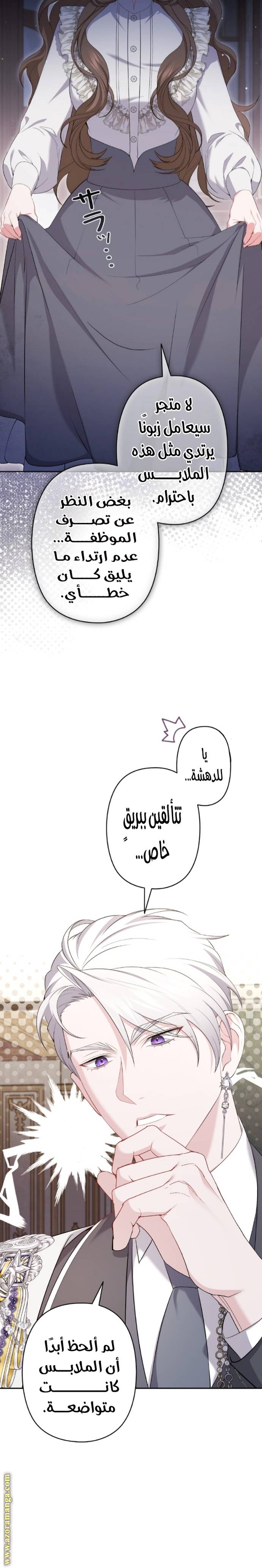 الصفحة 21