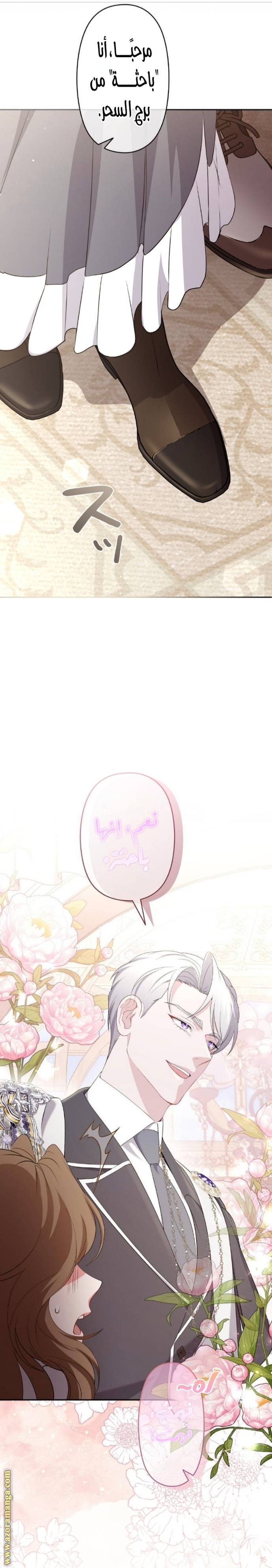 الصفحة 26