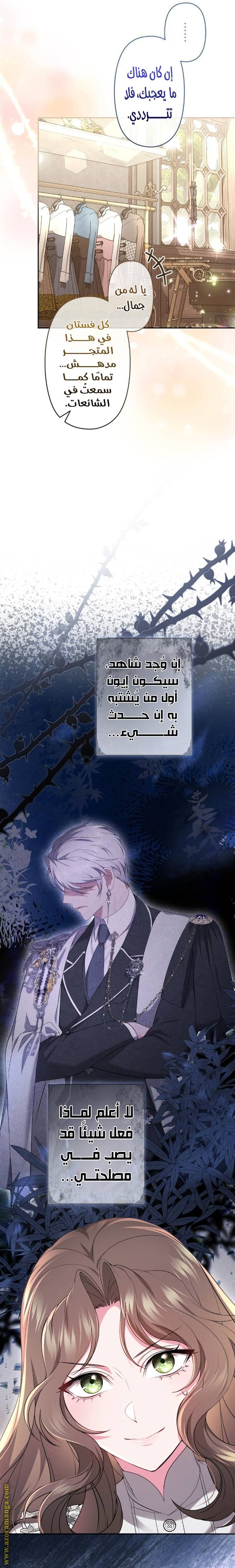 الصفحة 29