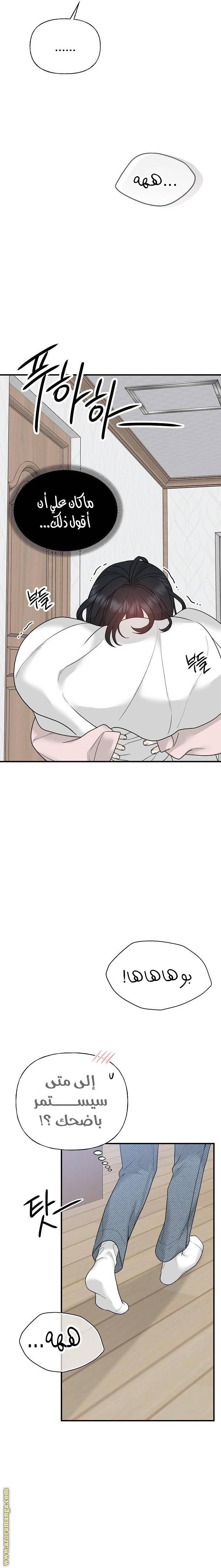 الصفحة 13