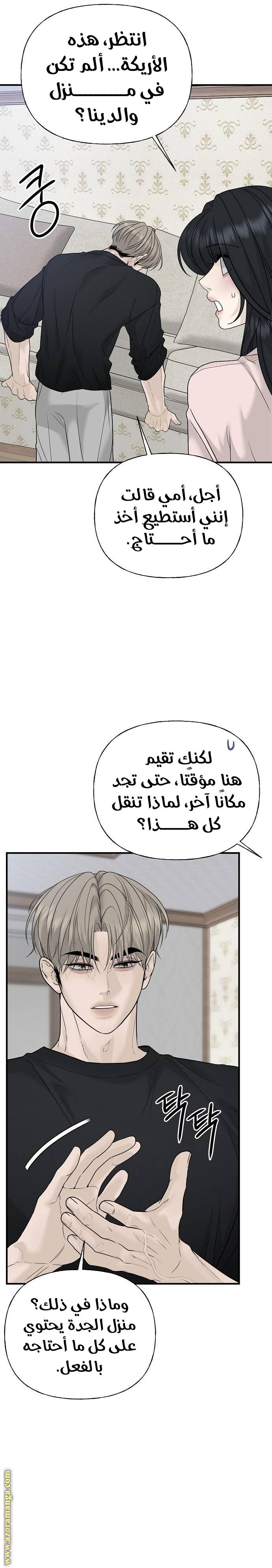 الصفحة 17