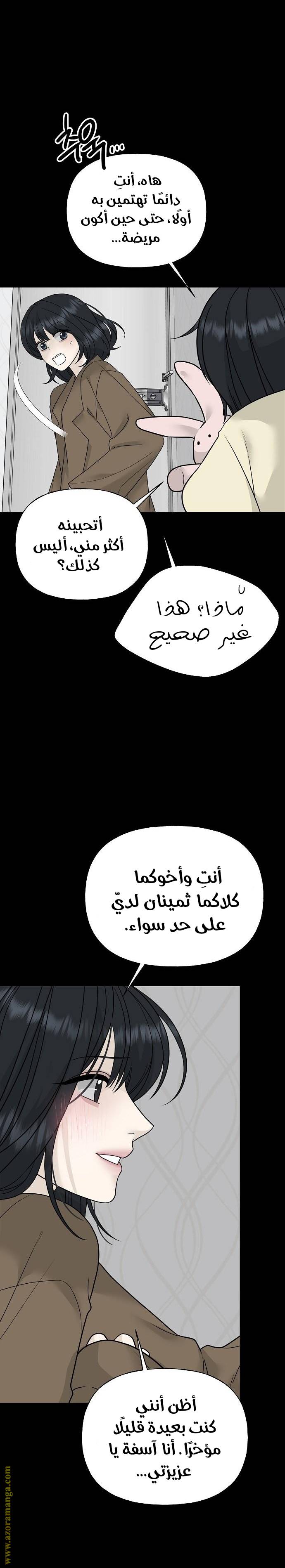 الصفحة 25