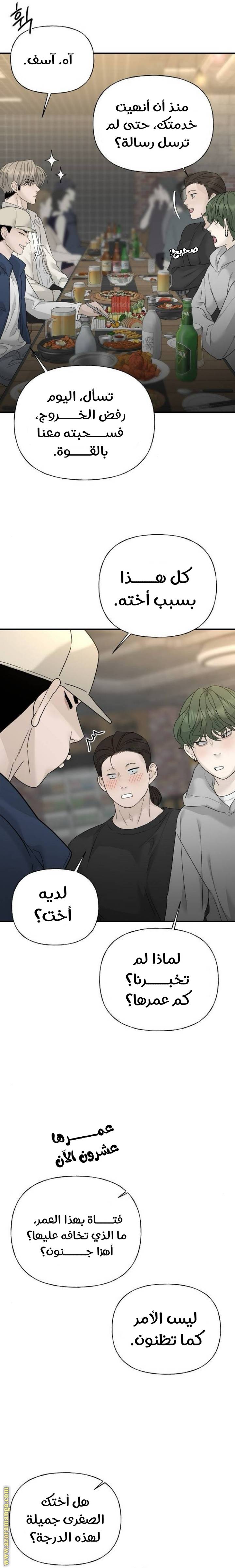 الصفحة 17
