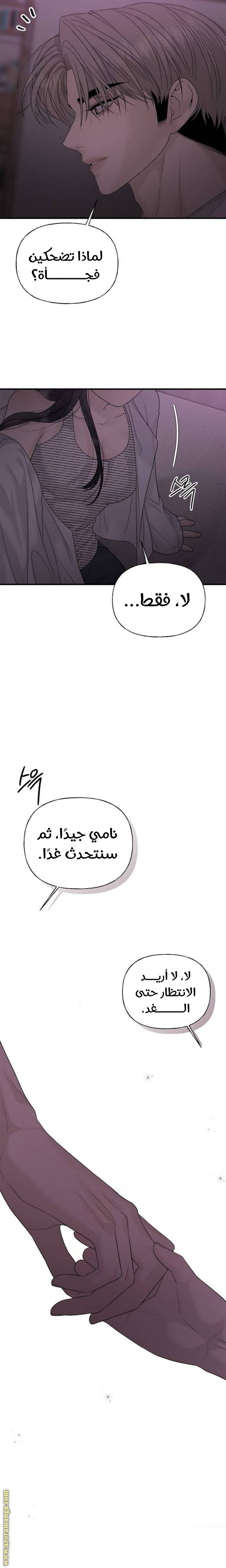 الصفحة 25