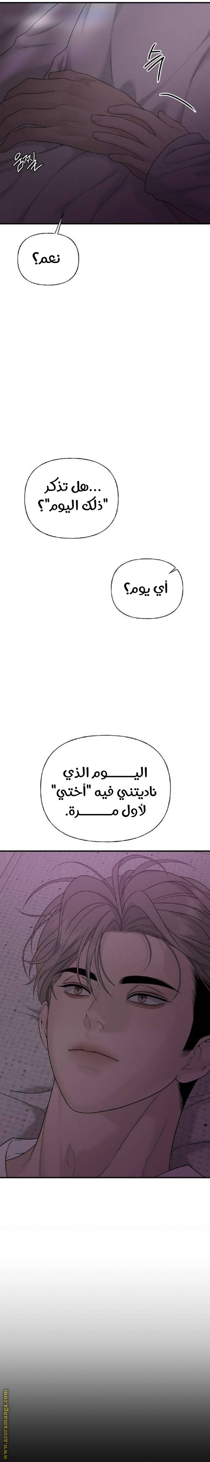 الصفحة 28