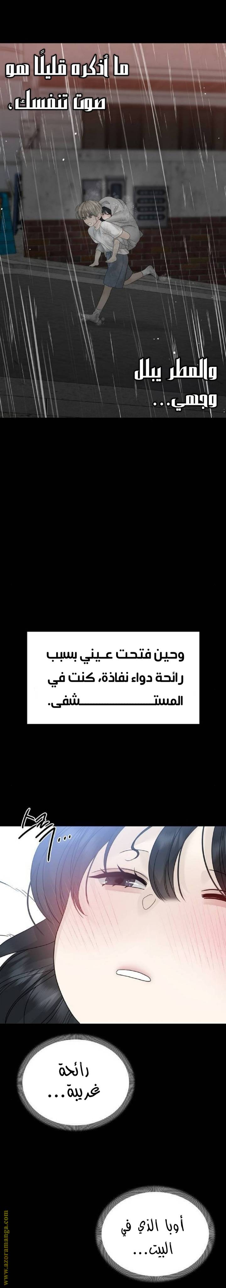 الصفحة 31