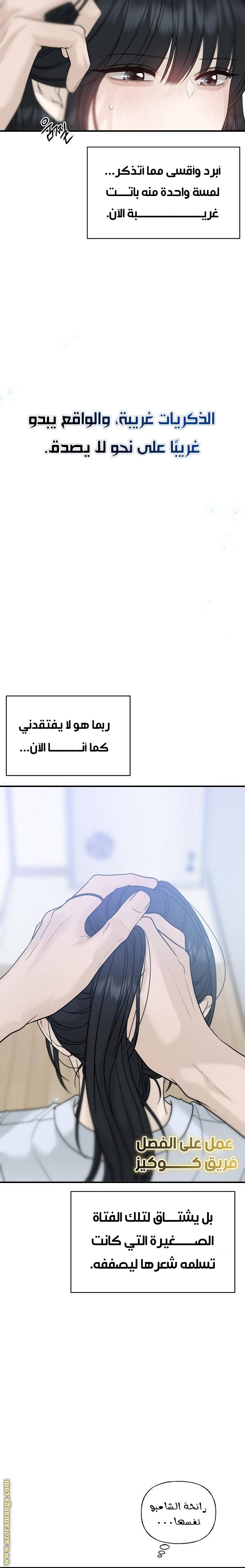 الصفحة 27
