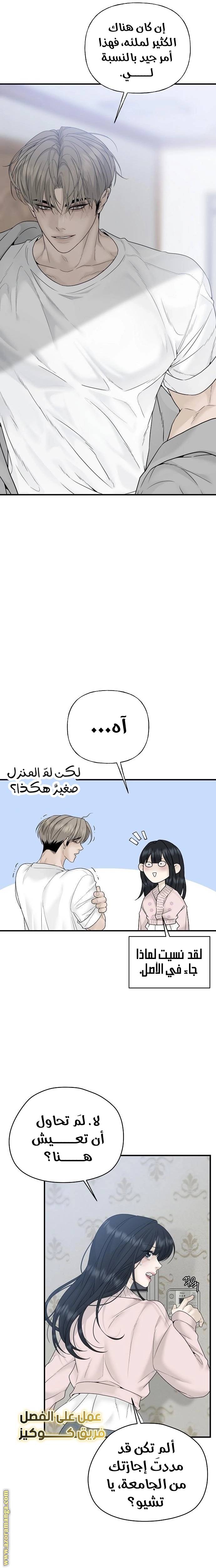 الصفحة 17