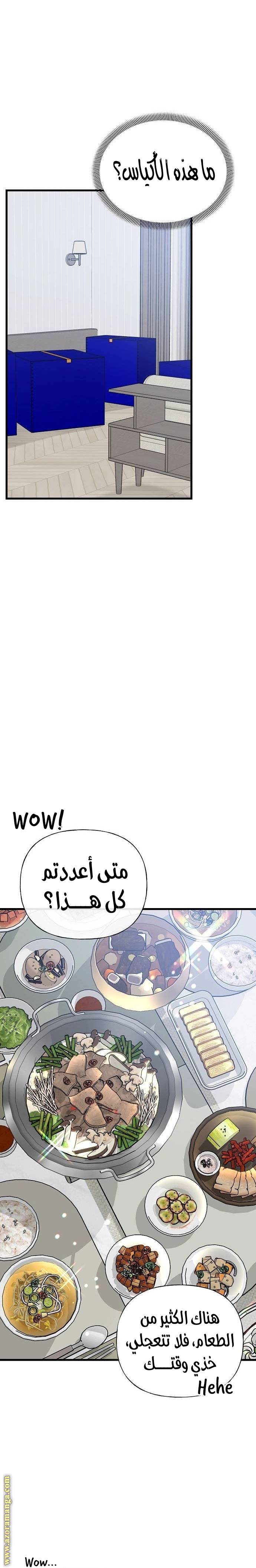 الصفحة 17