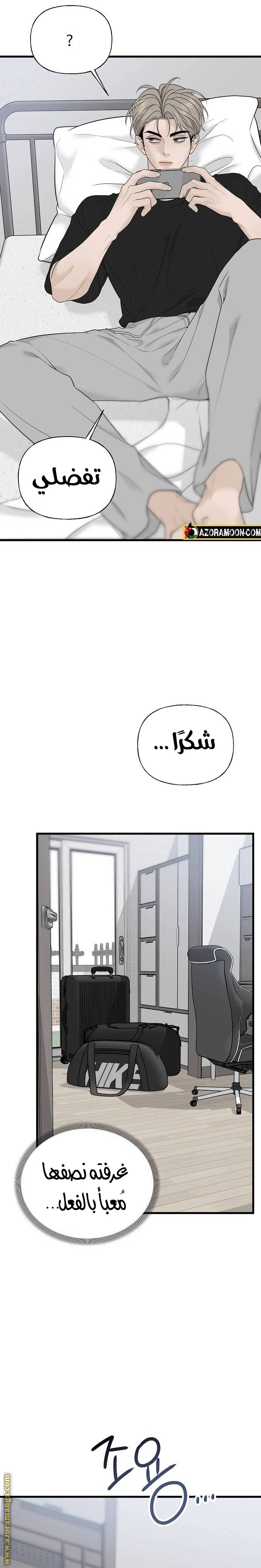 الصفحة 26
