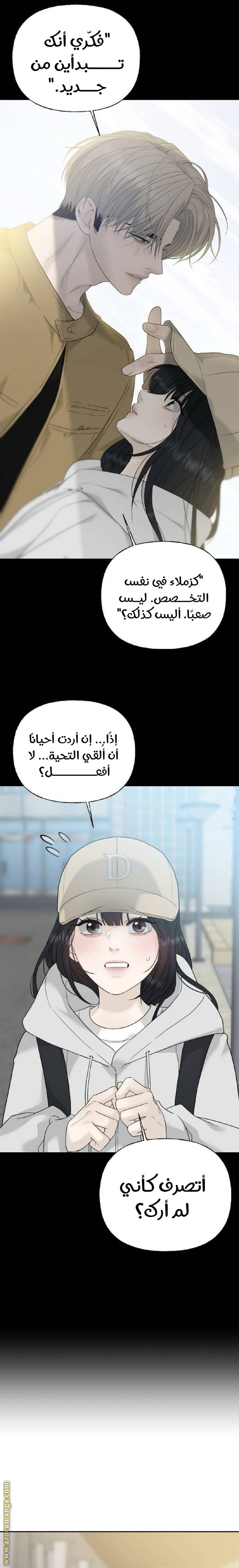 الصفحة 29