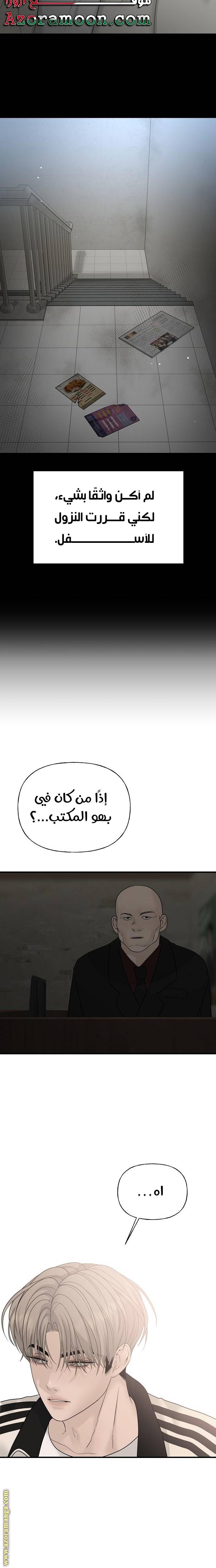 الصفحة 19