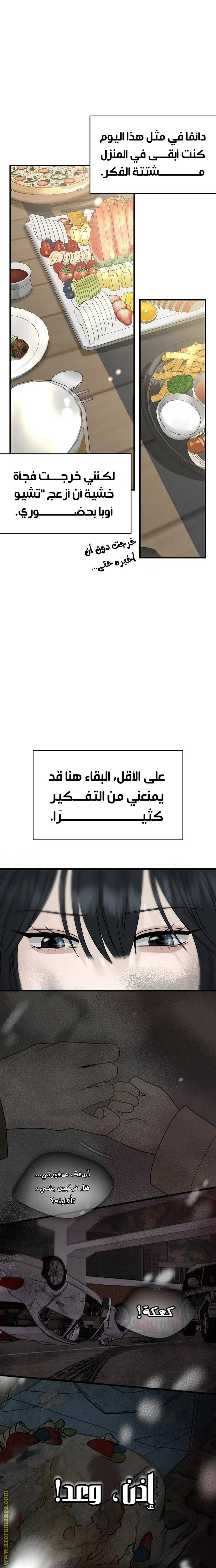 الصفحة 30