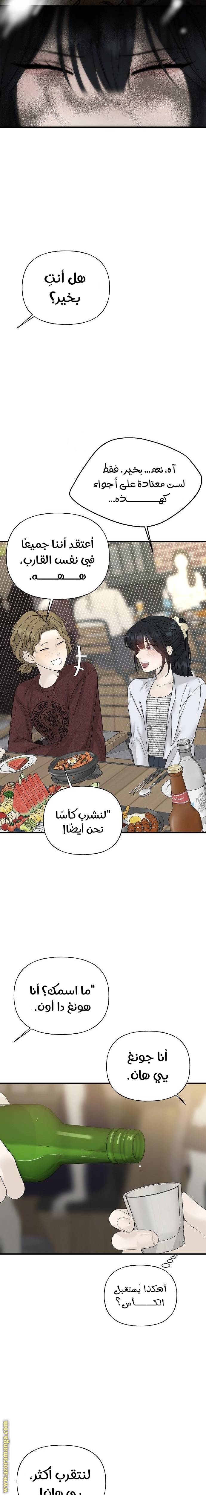 الصفحة 31