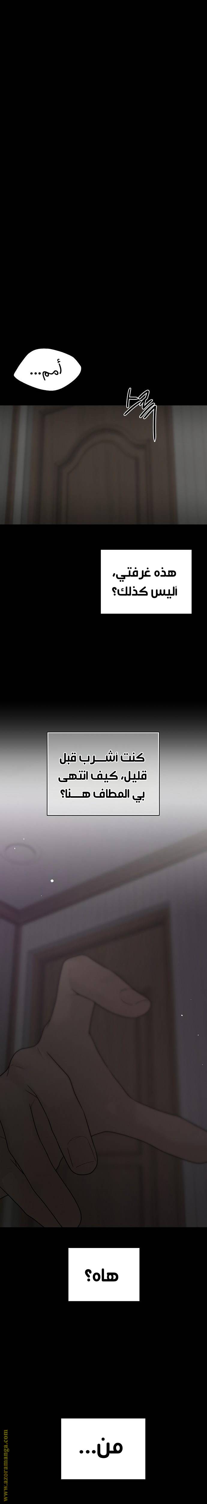 الصفحة 33