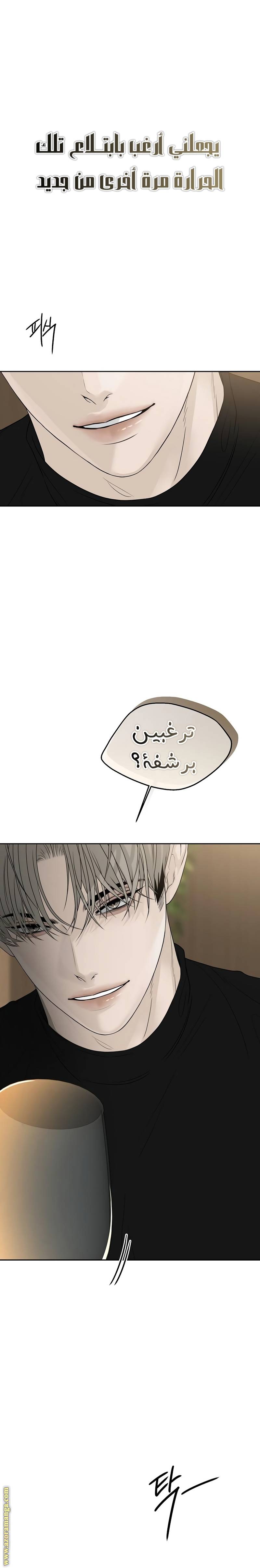 الصفحة 19