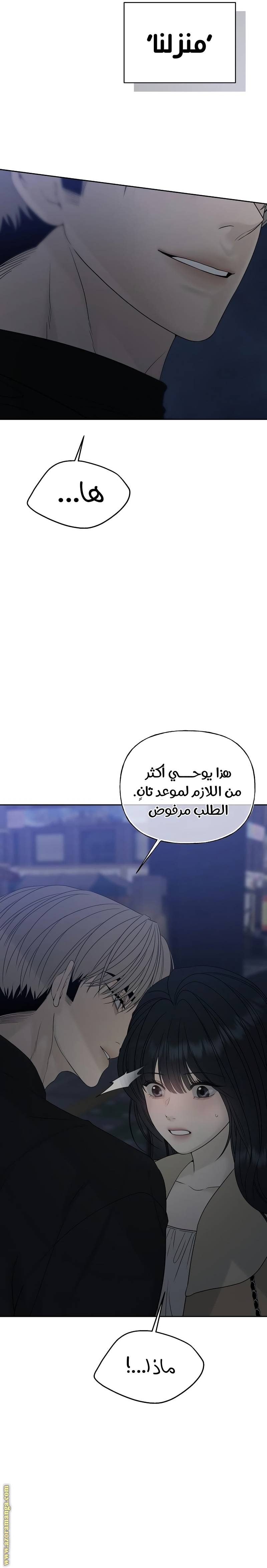 الصفحة 41