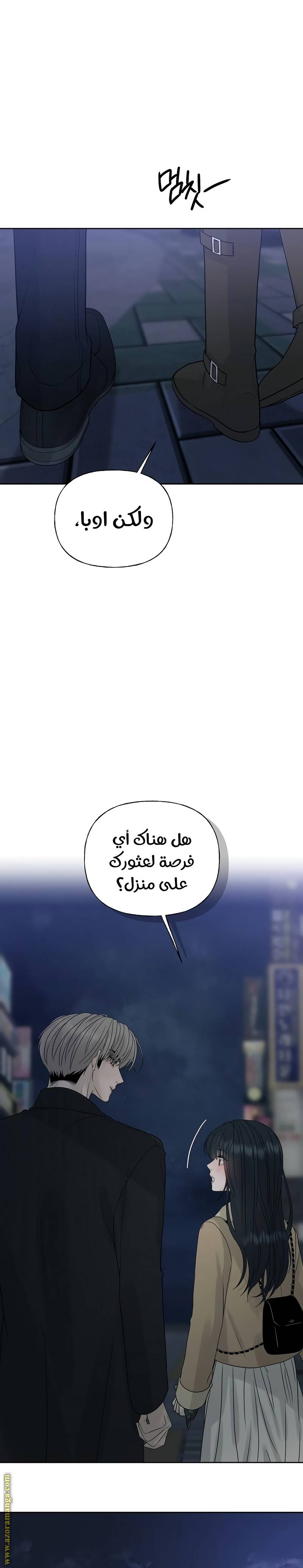 الصفحة 43