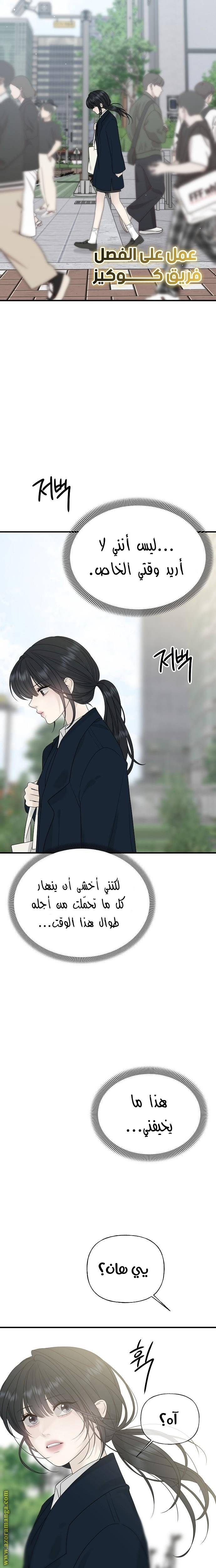 الصفحة 17