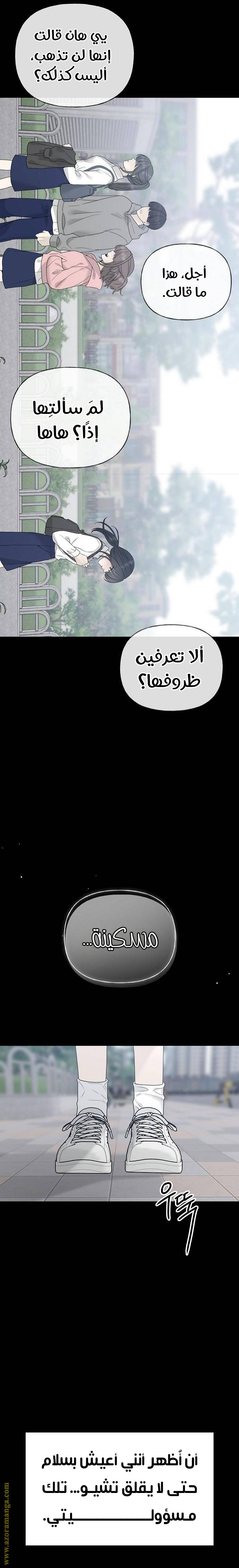الصفحة 19