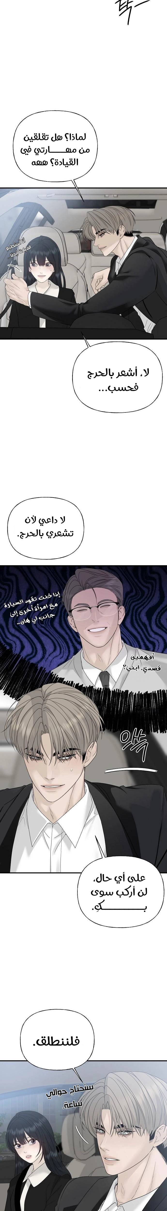 الصفحة 13