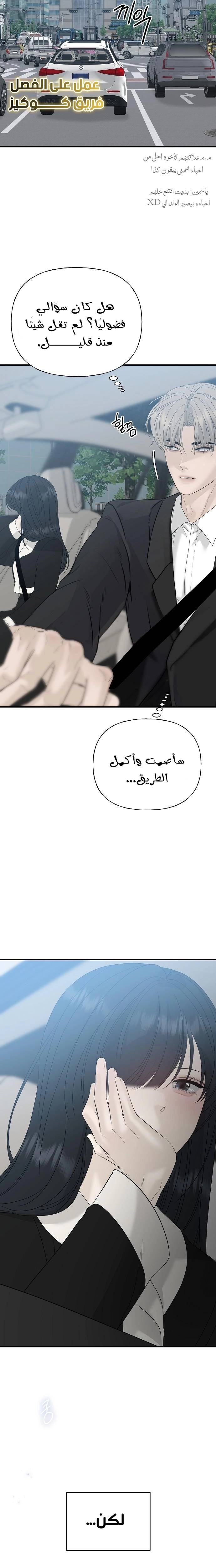 الصفحة 17
