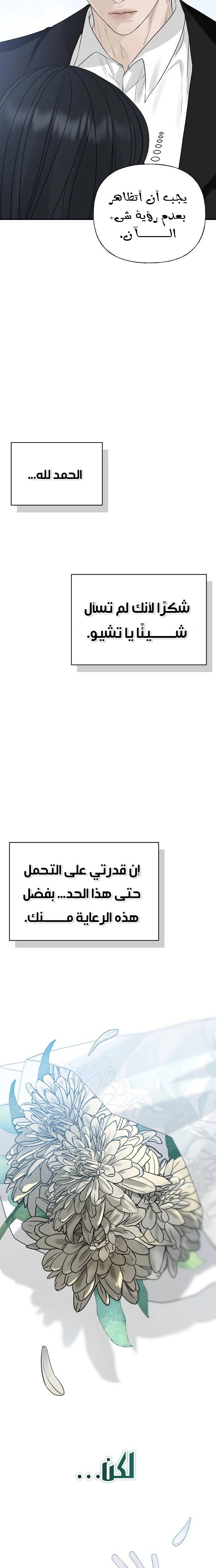 الصفحة 31