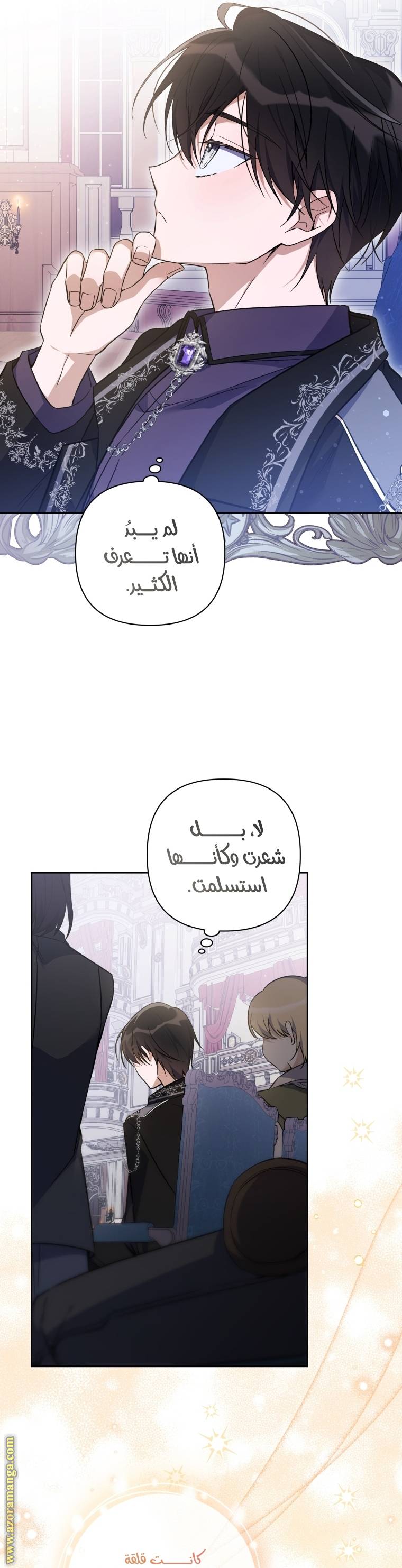 الصفحة 29