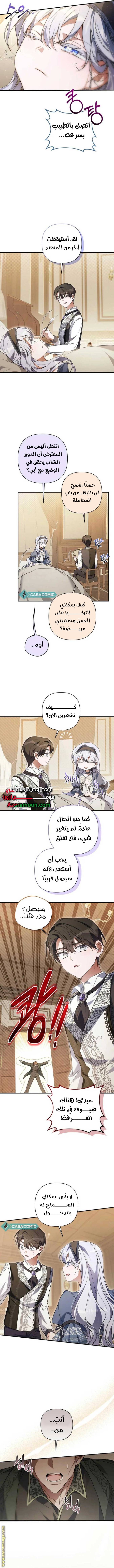 الصفحة 11