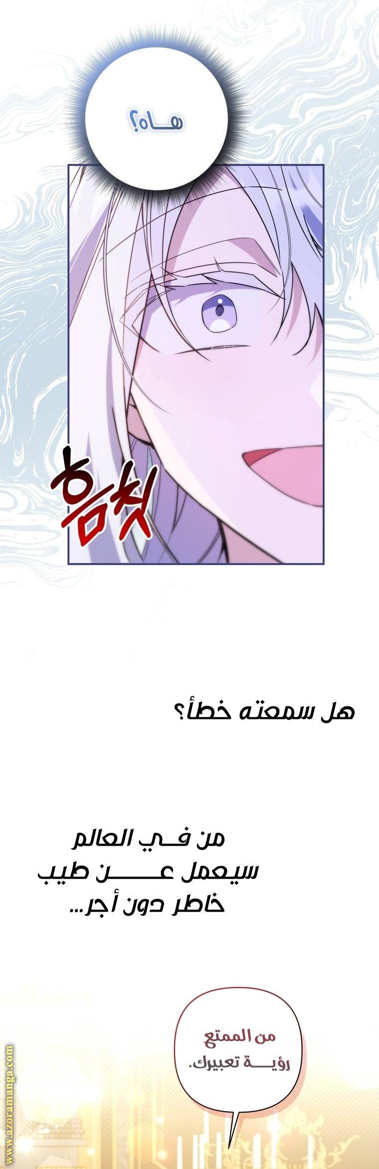 الصفحة 21