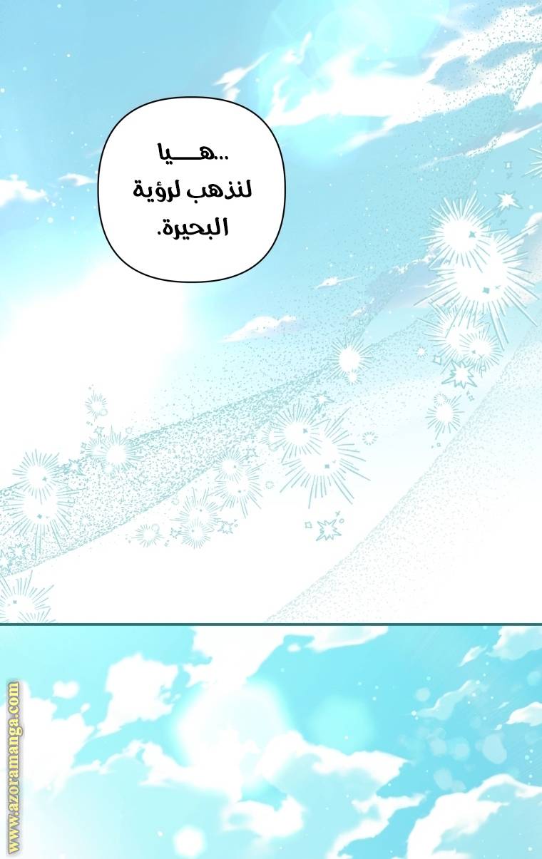 الصفحة 41