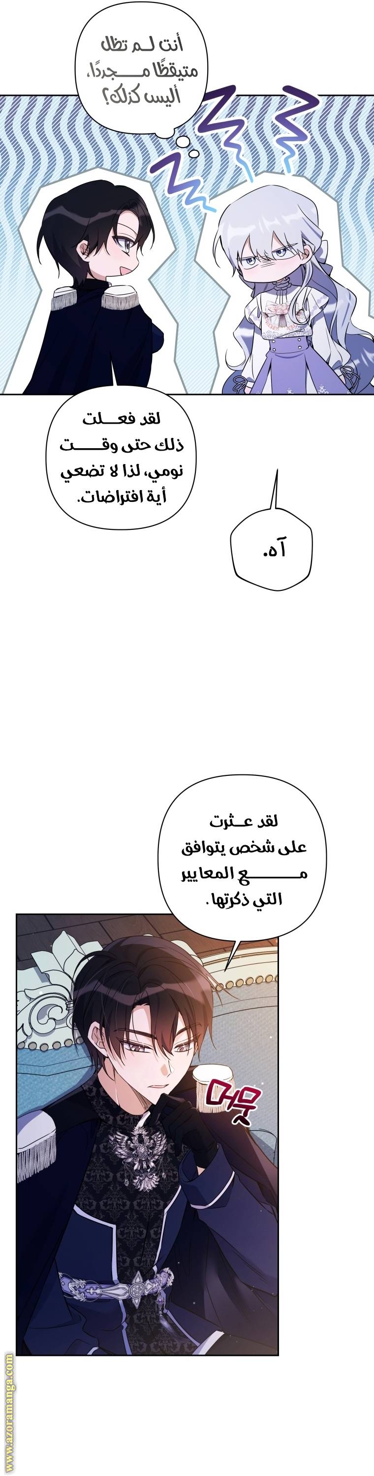 الصفحة 41