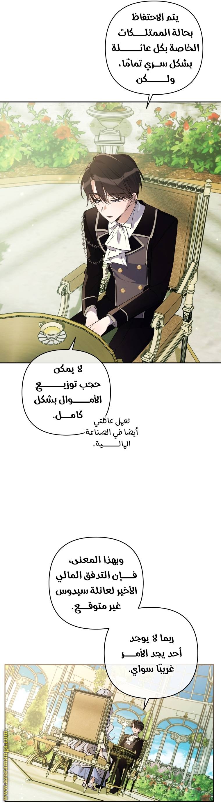 الصفحة 17