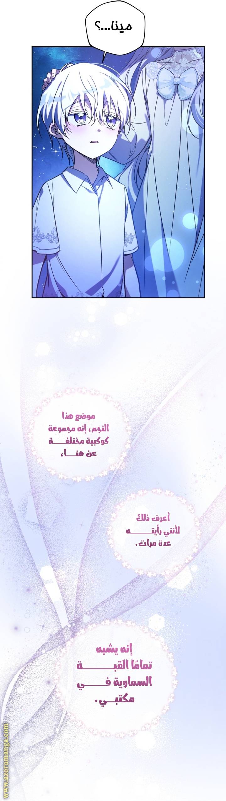 الصفحة 17