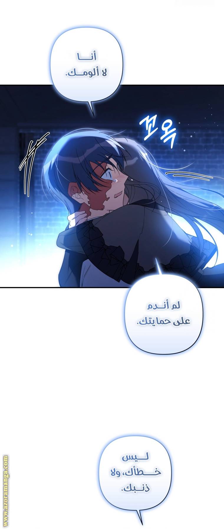 الصفحة 13